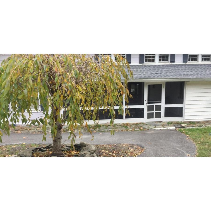 Interlake Rv Park & Campground ไรน์เบ็ค ภายนอก รูปภาพ