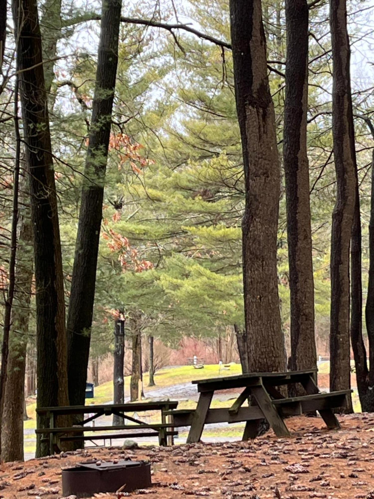 Interlake Rv Park & Campground ไรน์เบ็ค ภายนอก รูปภาพ